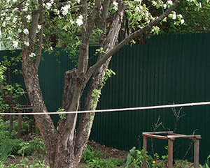 Недорогой забор